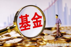 001373基金,稳健增长，灵活配置的典范